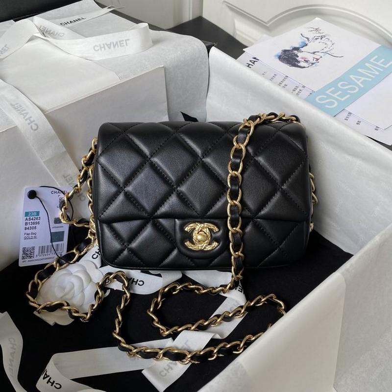 Chanel Handbags 560